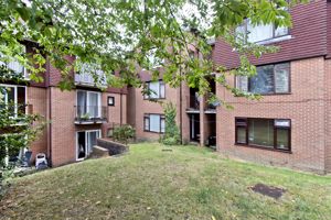 Communal Gardens- click for photo gallery